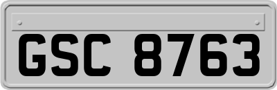 GSC8763