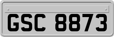 GSC8873