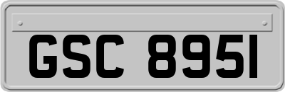 GSC8951