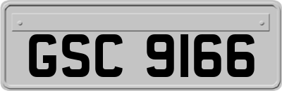 GSC9166