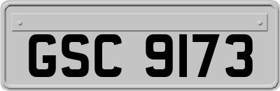 GSC9173