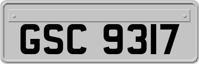 GSC9317
