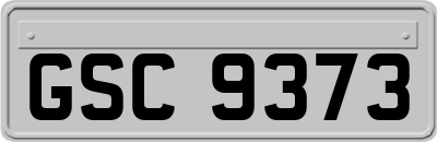 GSC9373