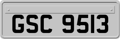 GSC9513