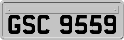 GSC9559