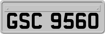 GSC9560