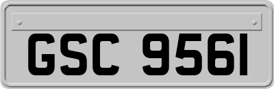 GSC9561