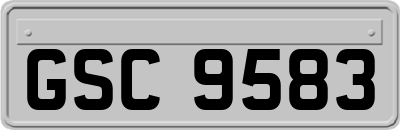 GSC9583