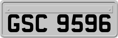 GSC9596