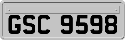 GSC9598