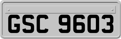 GSC9603
