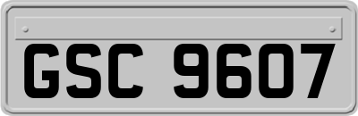 GSC9607