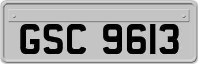 GSC9613