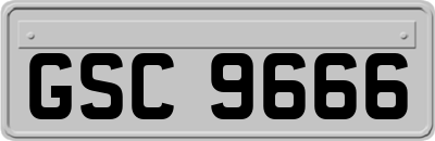 GSC9666