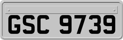 GSC9739