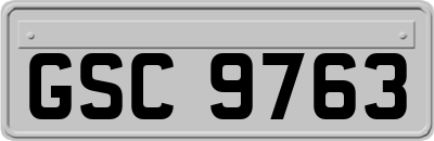 GSC9763