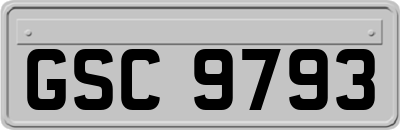 GSC9793