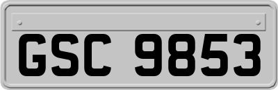 GSC9853