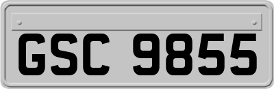GSC9855