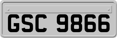 GSC9866