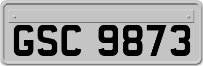 GSC9873