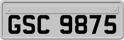 GSC9875