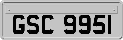 GSC9951