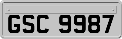 GSC9987