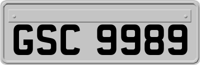 GSC9989