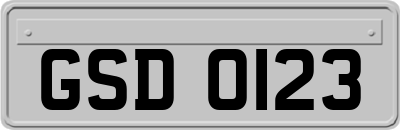 GSD0123