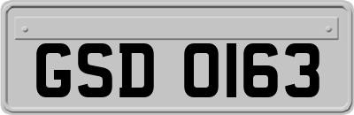 GSD0163