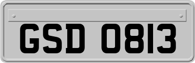GSD0813