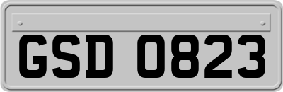 GSD0823