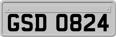GSD0824