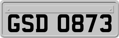 GSD0873