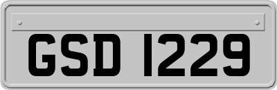 GSD1229