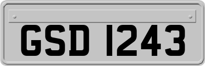 GSD1243