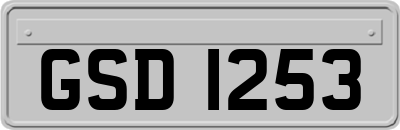 GSD1253