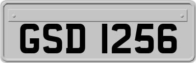 GSD1256