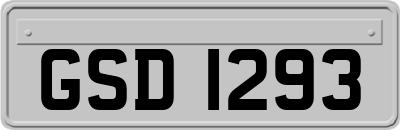 GSD1293