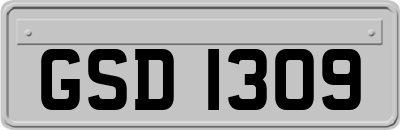 GSD1309