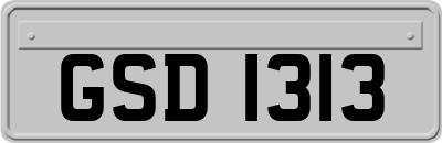 GSD1313