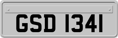 GSD1341