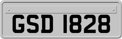 GSD1828
