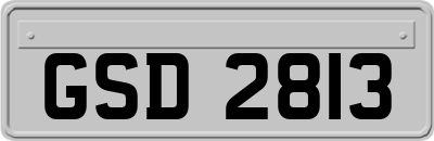 GSD2813
