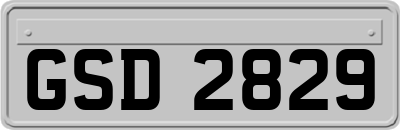 GSD2829