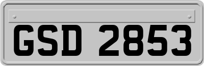 GSD2853