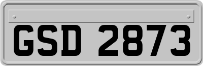GSD2873