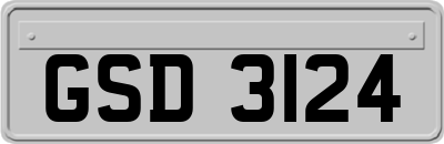 GSD3124