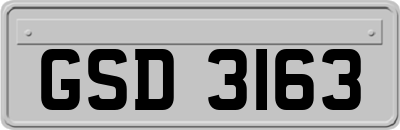GSD3163